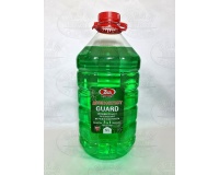 guard_31_____5_91537